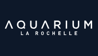 aquarium la rochelle aquarium la rochelle