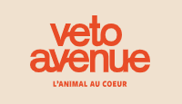 vetoavenue vetoavenue